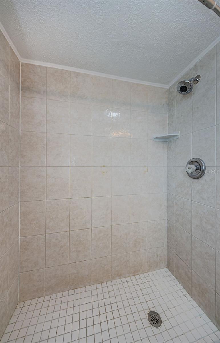 2186 EDYTHE DR #11, DUNEDIN, FL, 34698