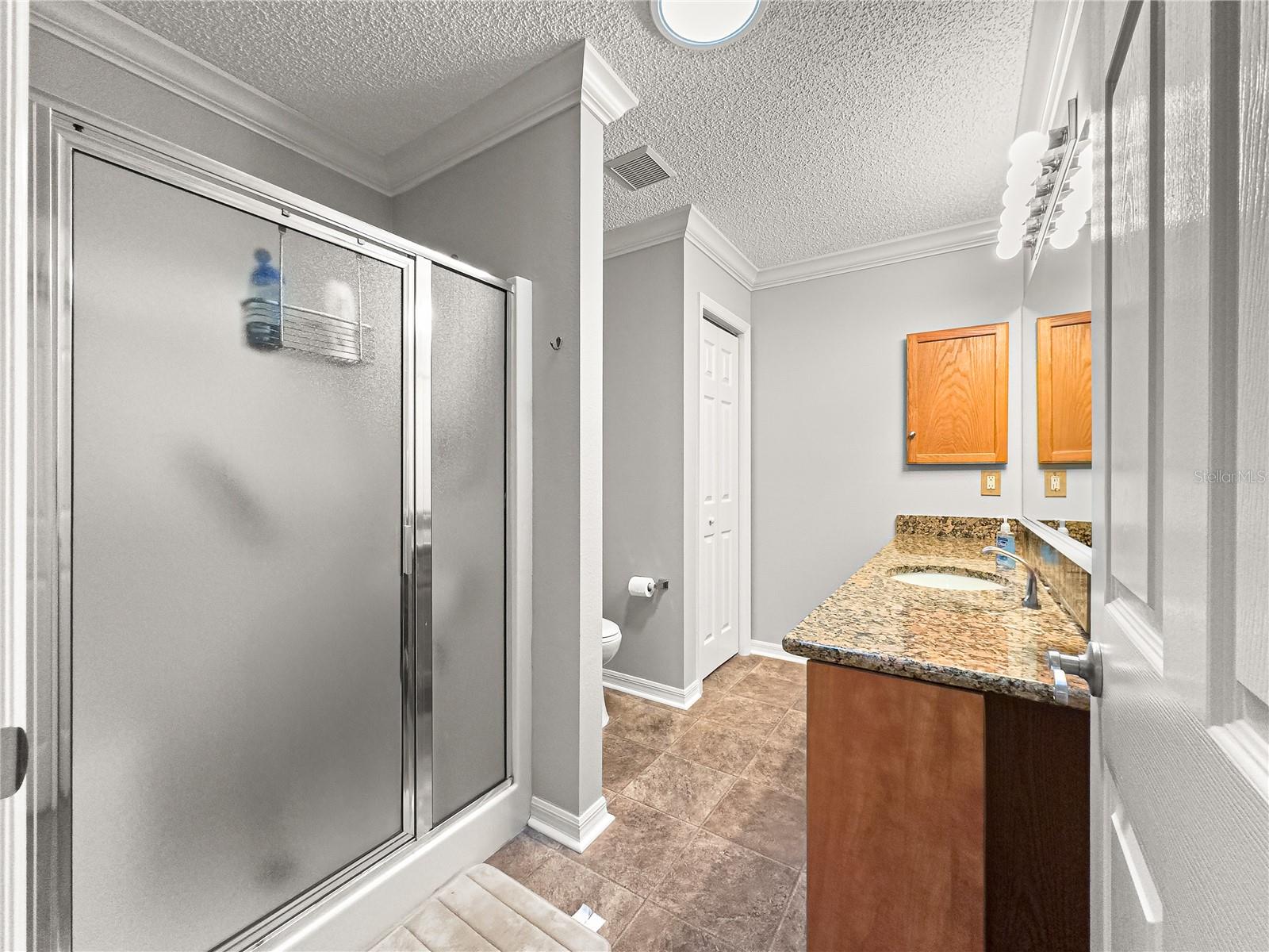 8069 SE 174TH LUDLOW PL, THE VILLAGES, FL, 32162