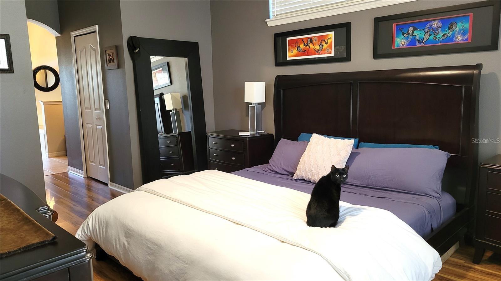 162 CRYSTAL OAK DR, DELAND, FL, 32724