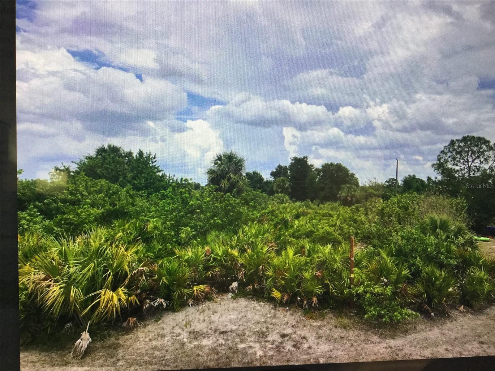 1218 CORTEZ AVE, LEHIGH ACRES, FL, 33972