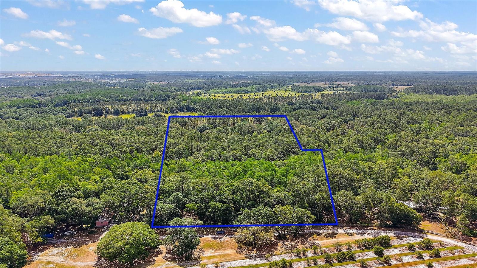 5250 LAKE NELLIE RD, CLERMONT, FL, 34714