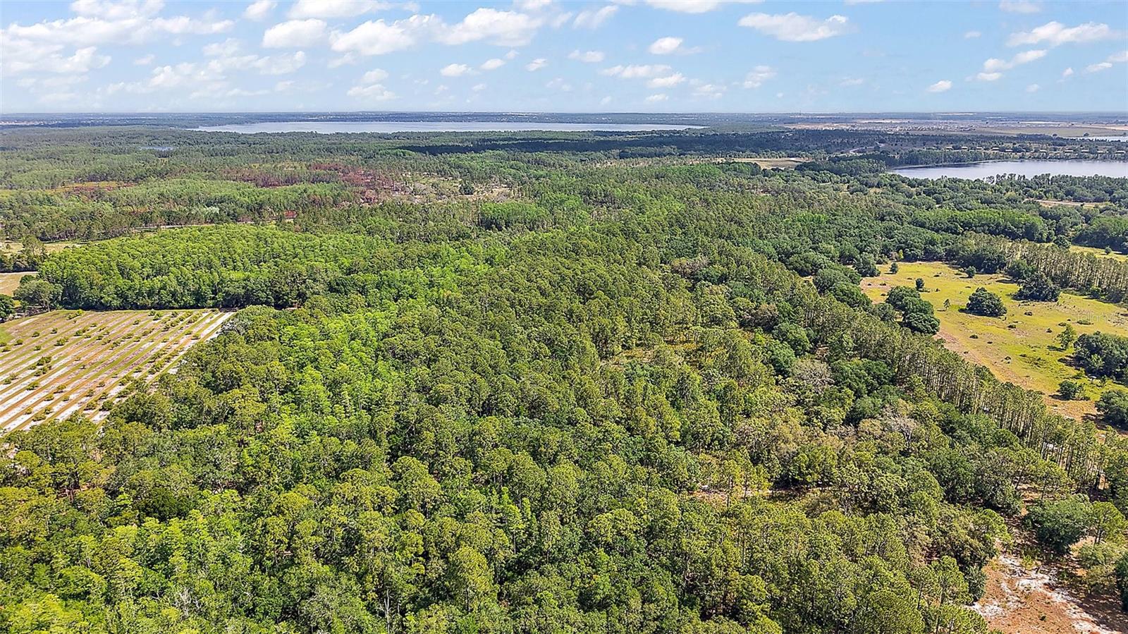 5250 LAKE NELLIE RD, CLERMONT, FL, 34714