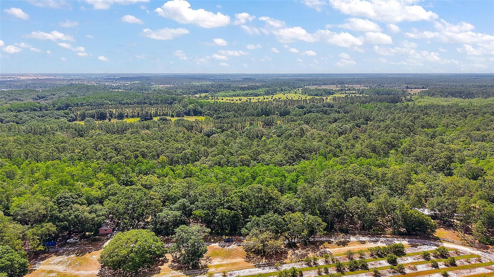 5250 LAKE NELLIE RD, CLERMONT, FL, 34714