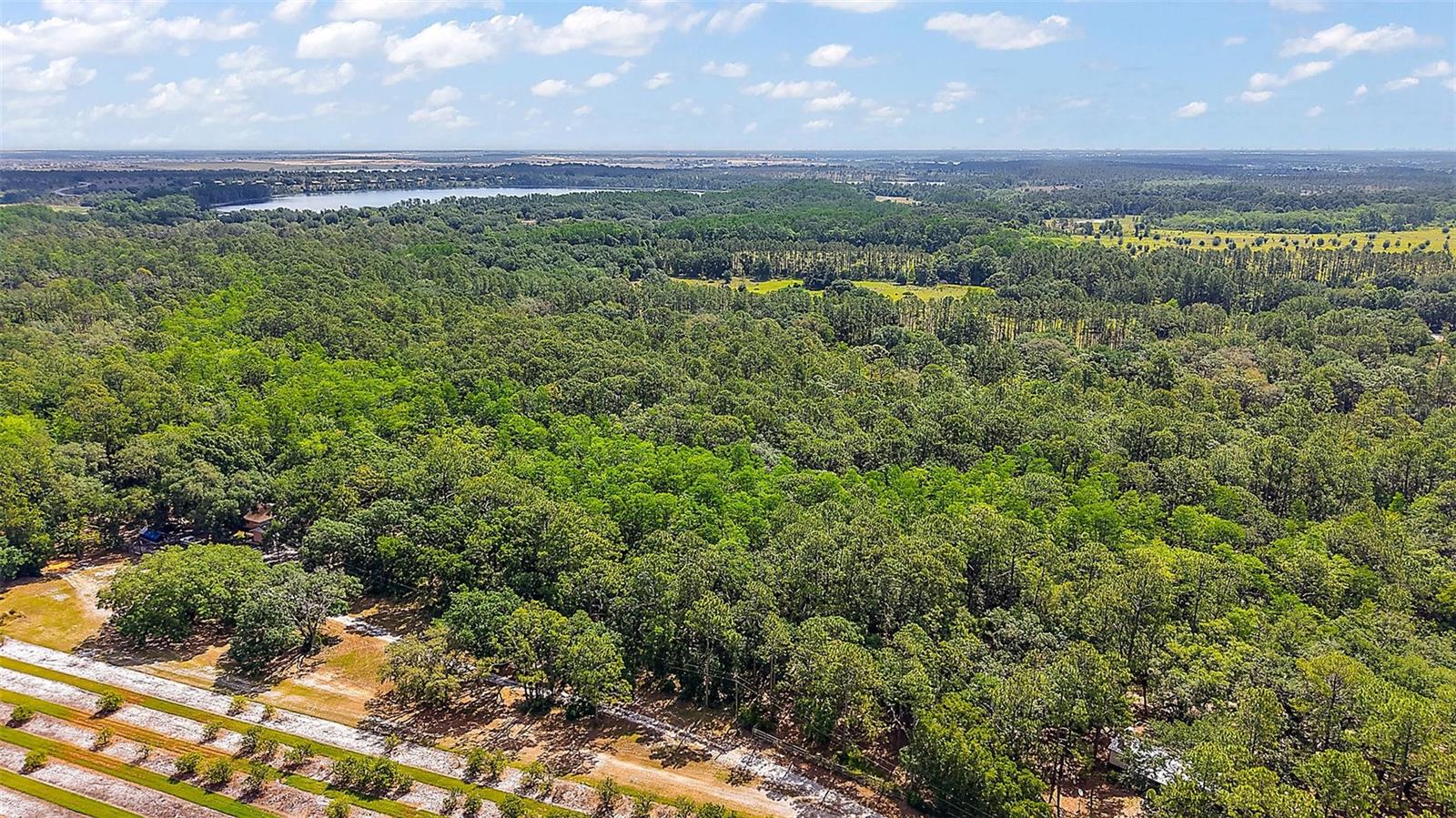 5250 LAKE NELLIE RD, CLERMONT, FL, 34714