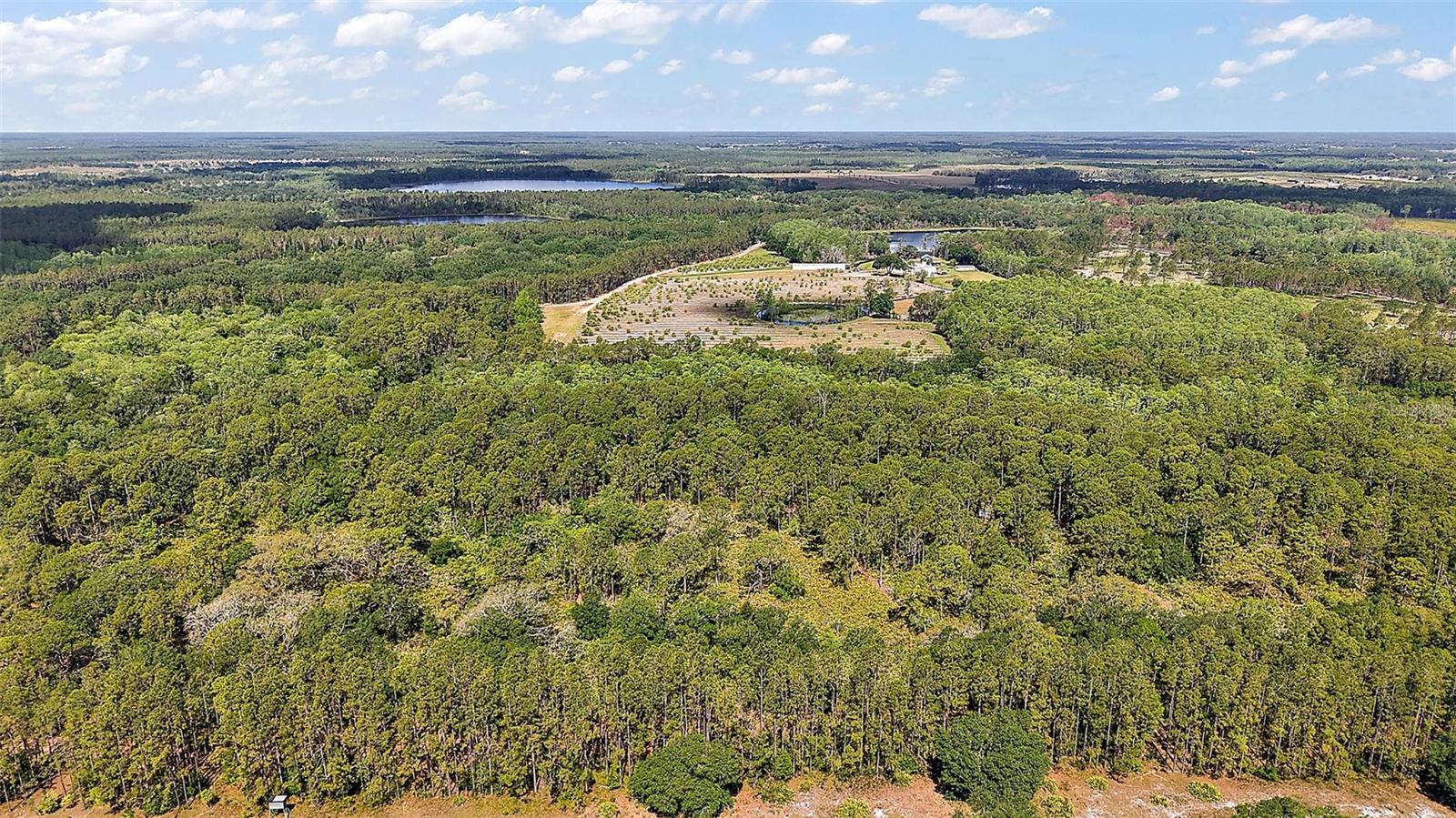 5250 LAKE NELLIE RD, CLERMONT, FL, 34714