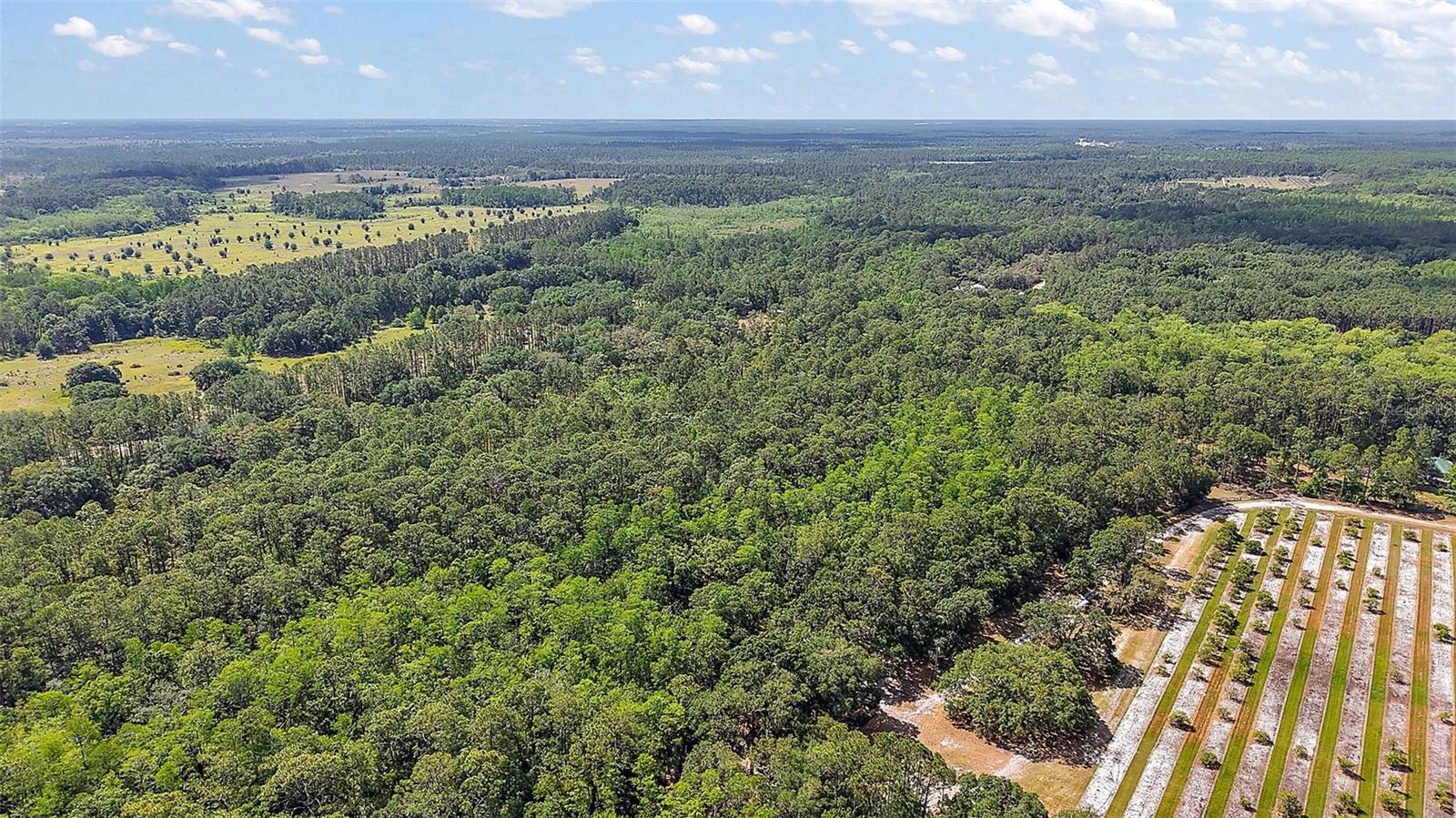 5250 LAKE NELLIE RD, CLERMONT, FL, 34714