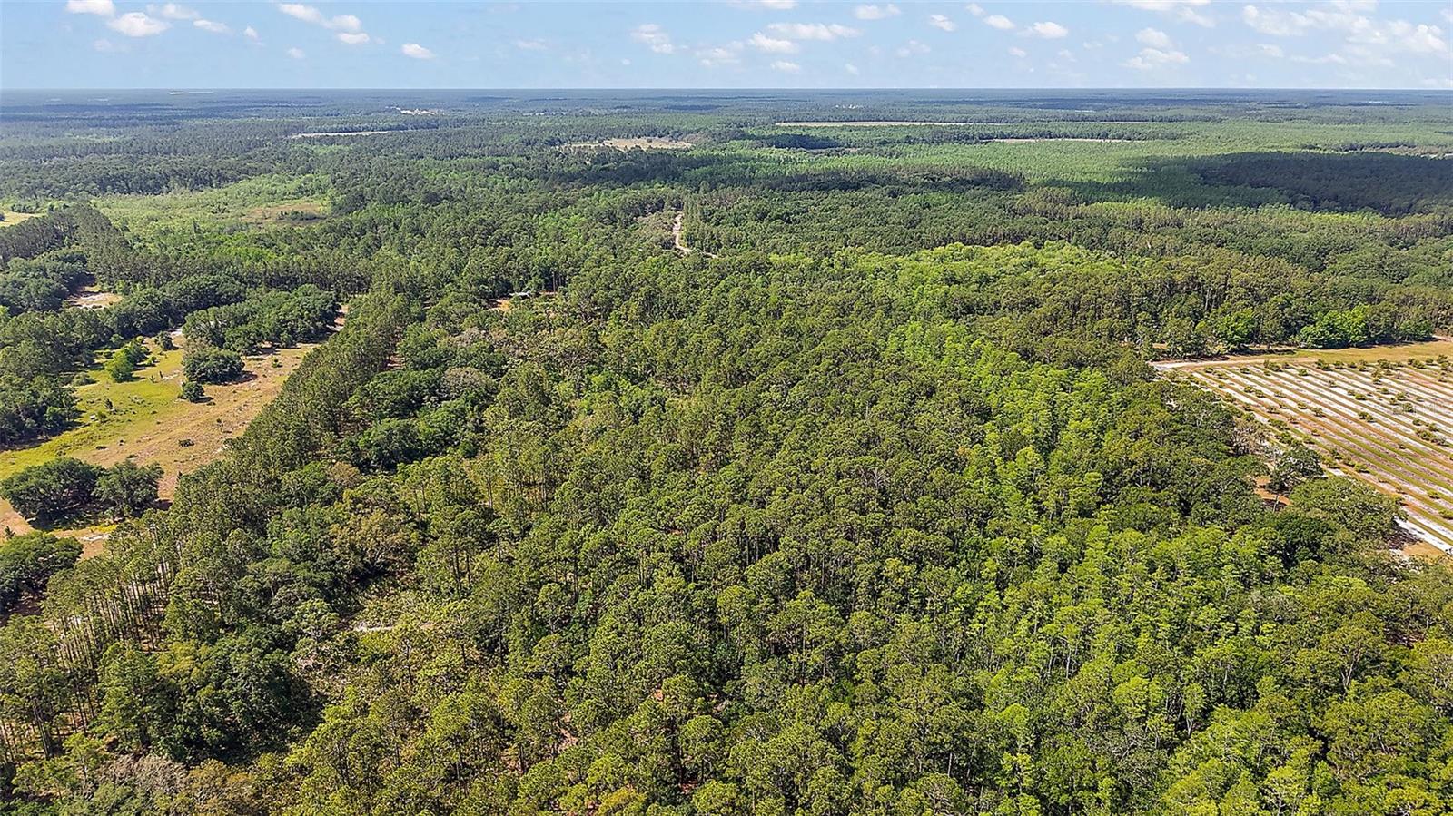 5250 LAKE NELLIE RD, CLERMONT, FL, 34714