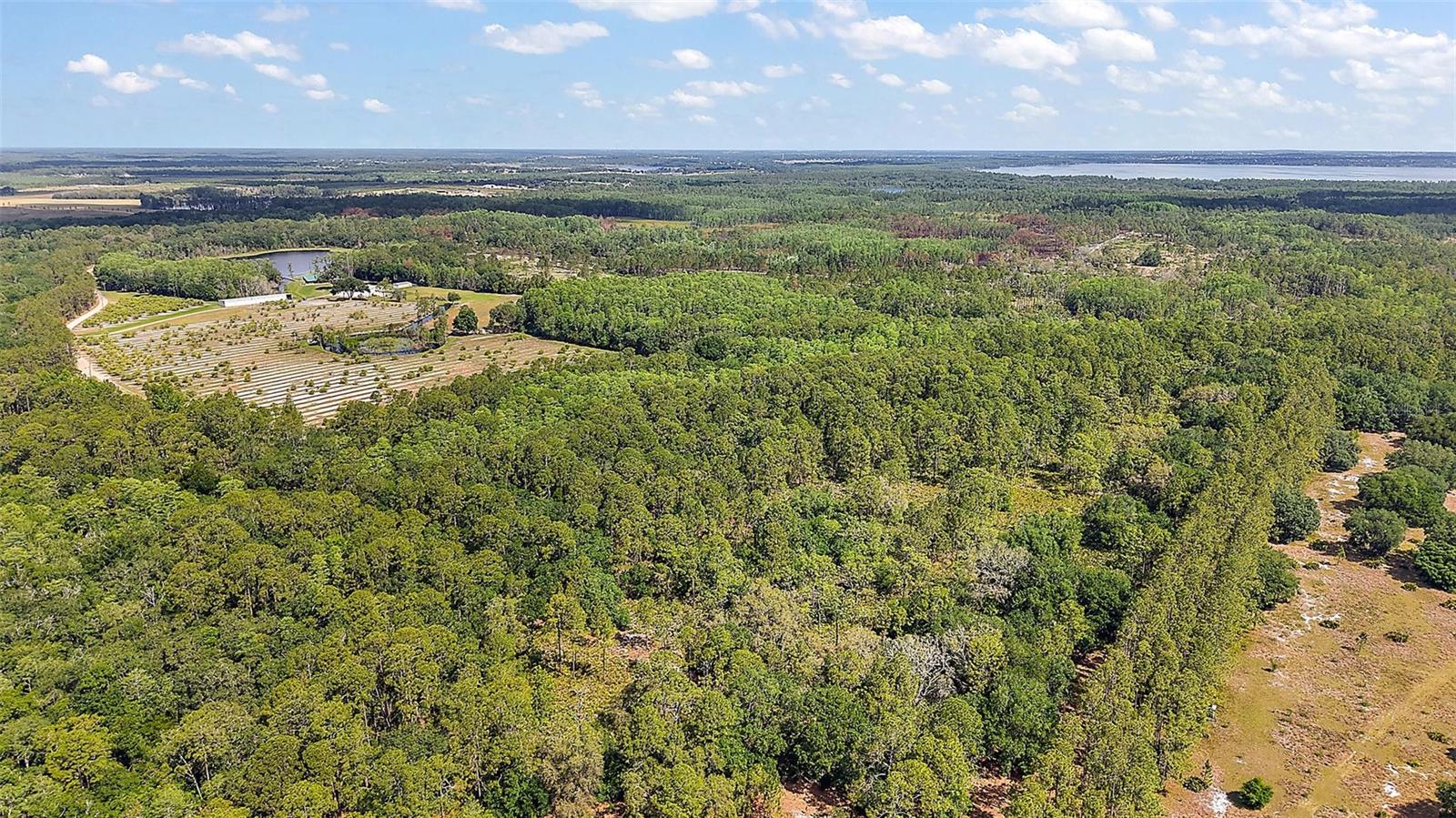 5250 LAKE NELLIE RD, CLERMONT, FL, 34714