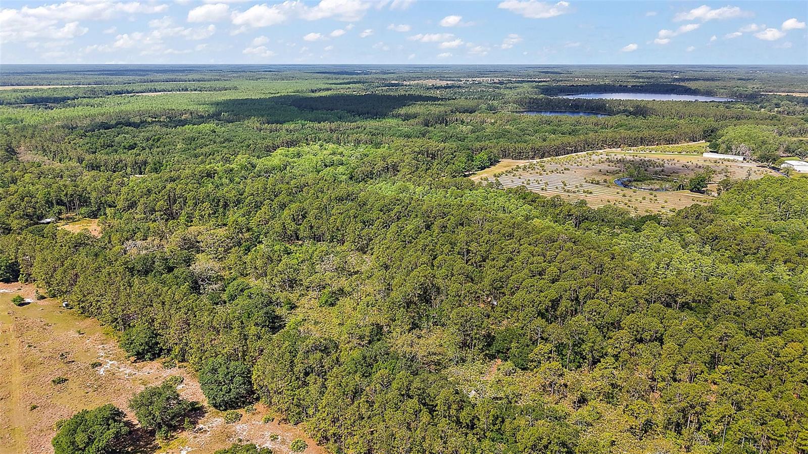 5250 LAKE NELLIE RD, CLERMONT, FL, 34714