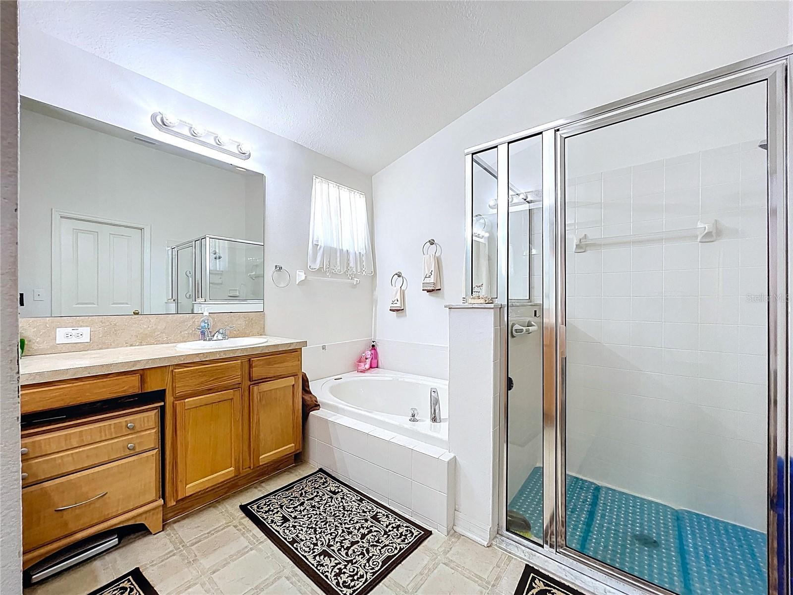 24305 DENALI CT, LUTZ, FL, 33559