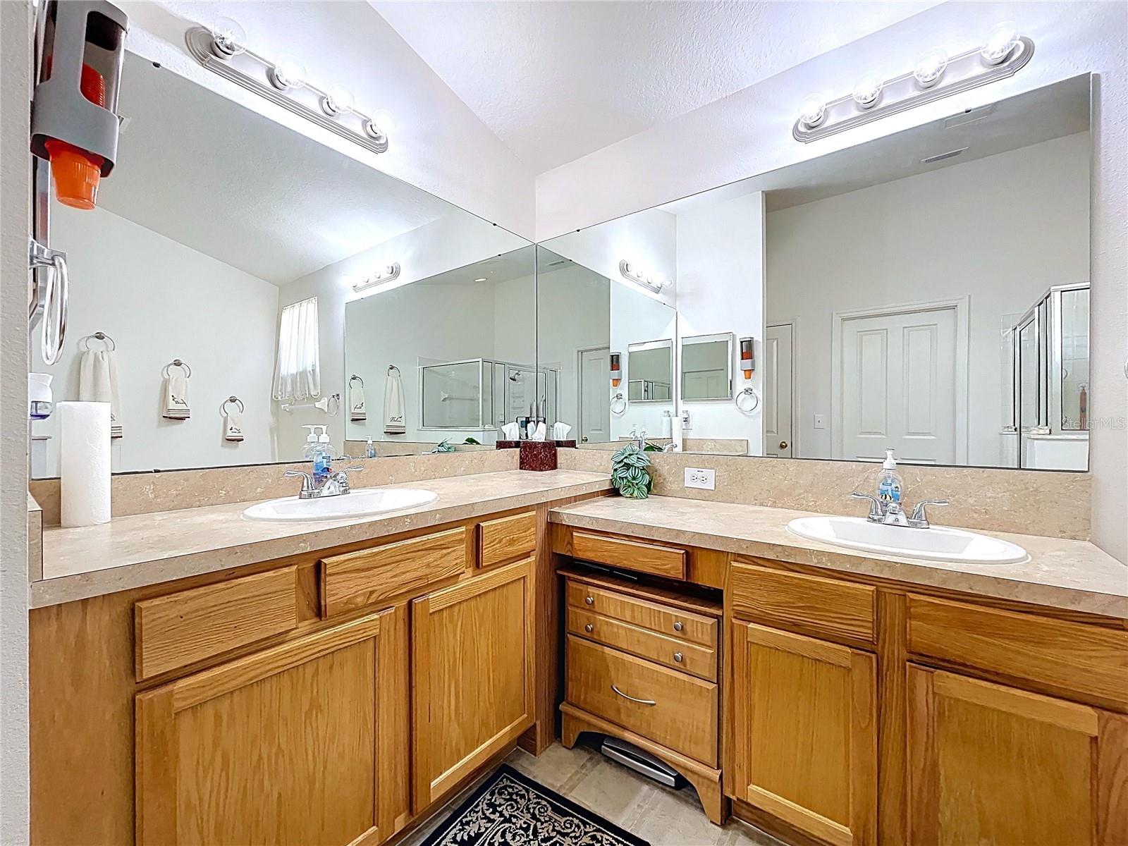 24305 DENALI CT, LUTZ, FL, 33559