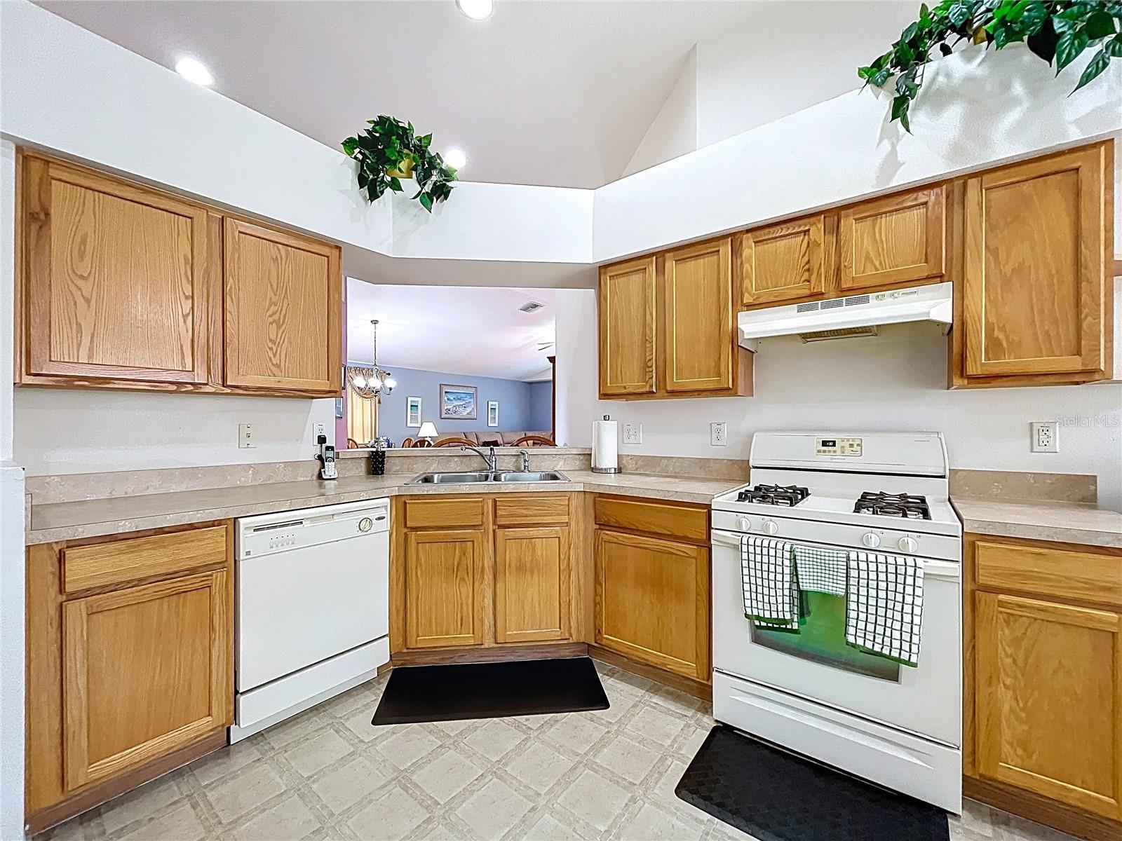 24305 DENALI CT, LUTZ, FL, 33559