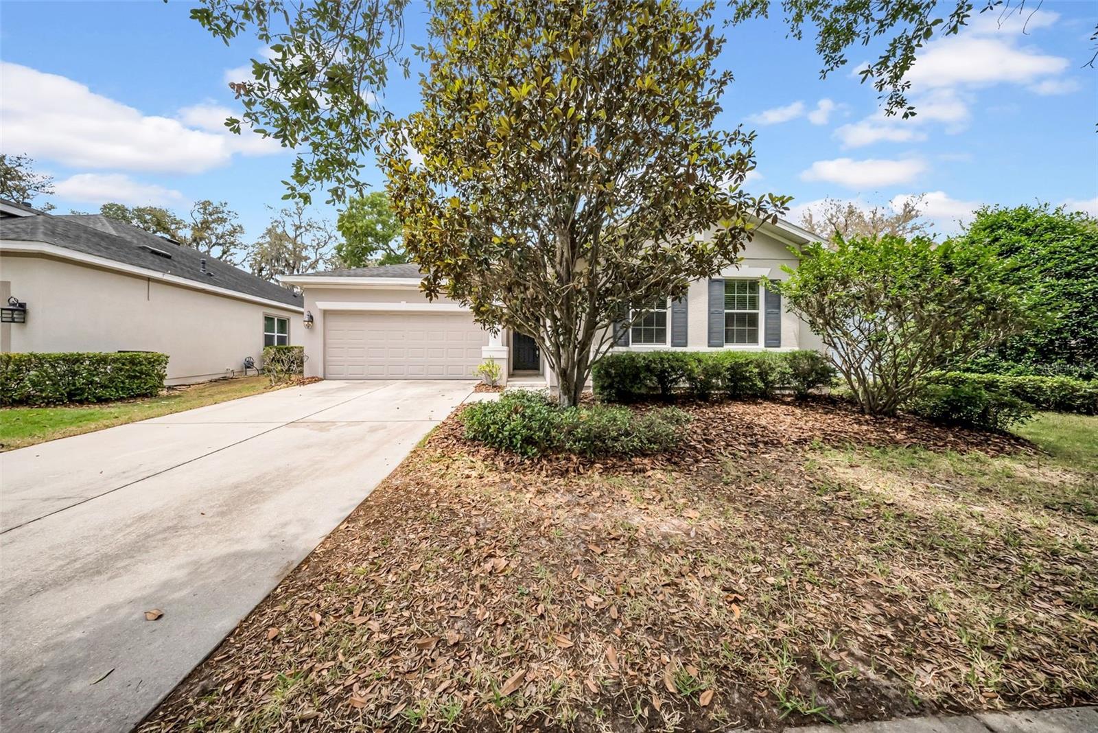 15810 STARLING WATER DR, LITHIA, FL, 33547