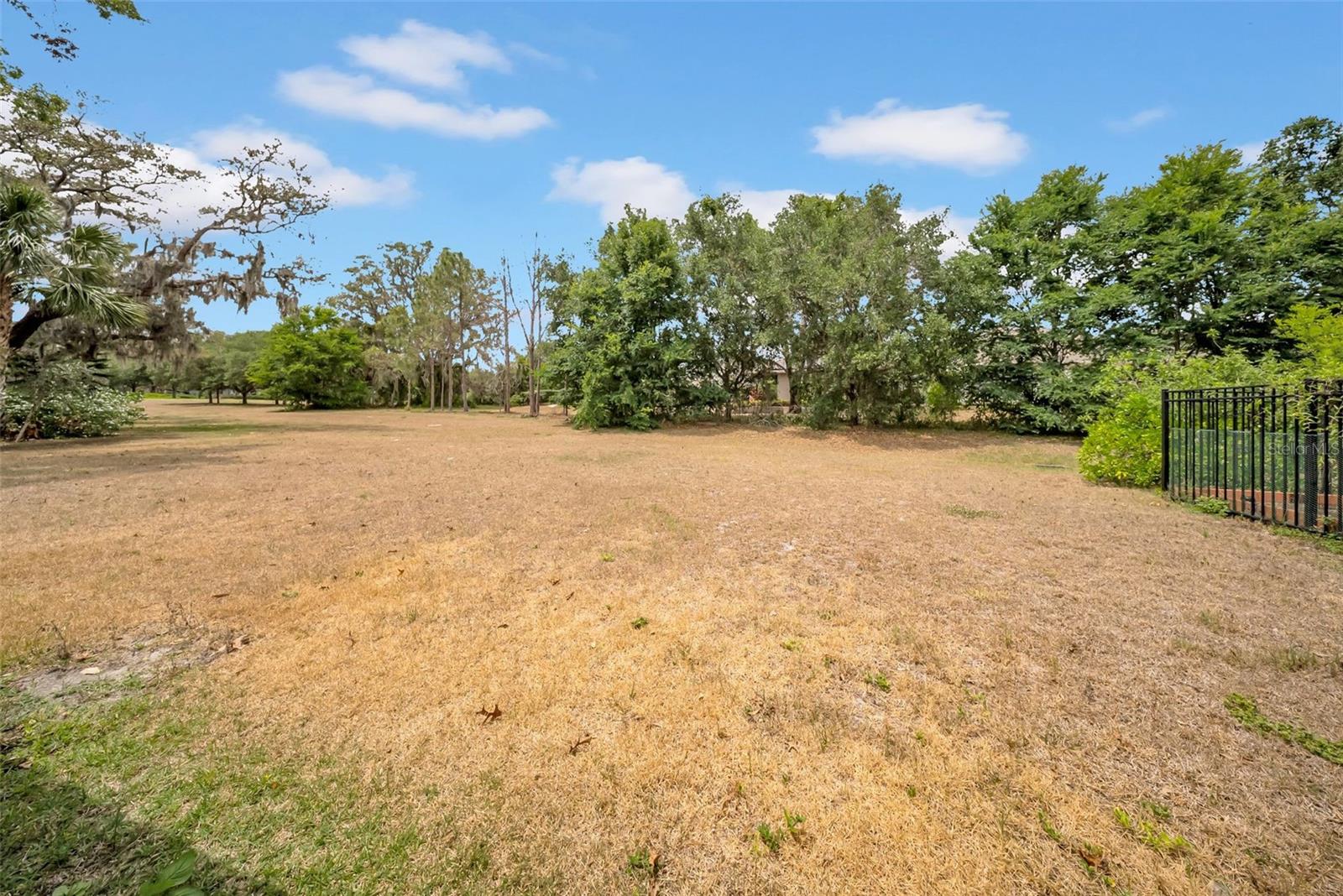 15810 STARLING WATER DR, LITHIA, FL, 33547