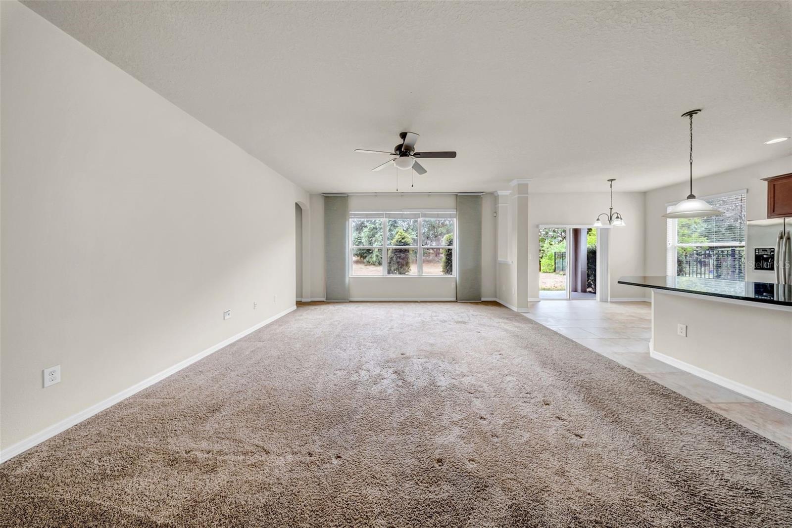 15810 STARLING WATER DR, LITHIA, FL, 33547