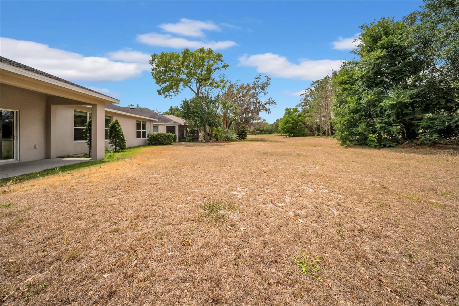 15810 STARLING WATER DR, LITHIA, FL, 33547