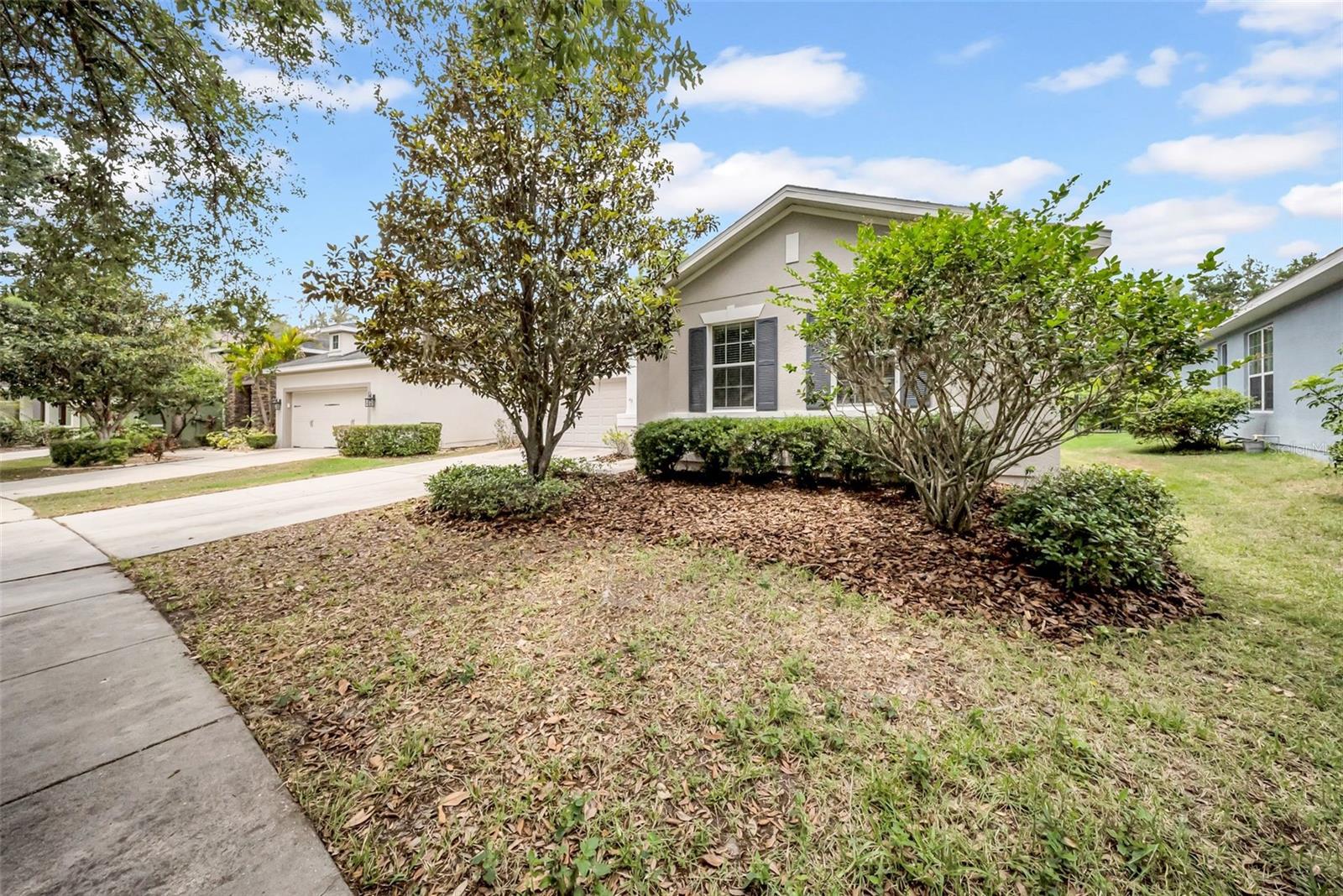 15810 STARLING WATER DR, LITHIA, FL, 33547