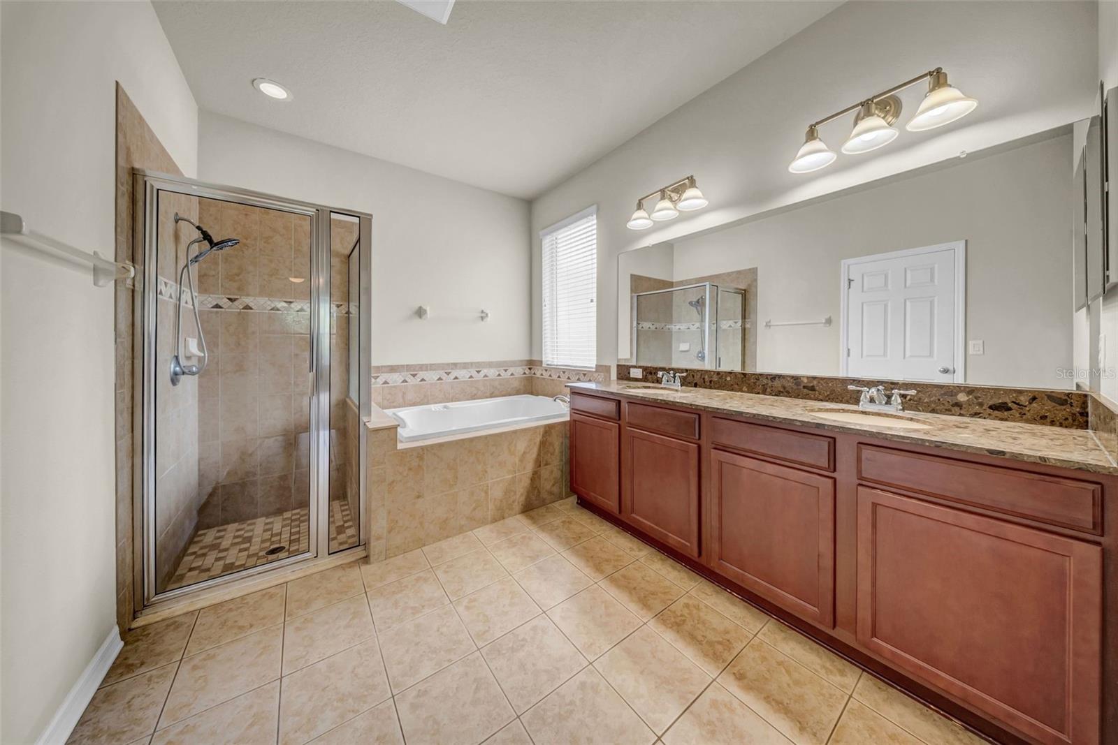 15810 STARLING WATER DR, LITHIA, FL, 33547