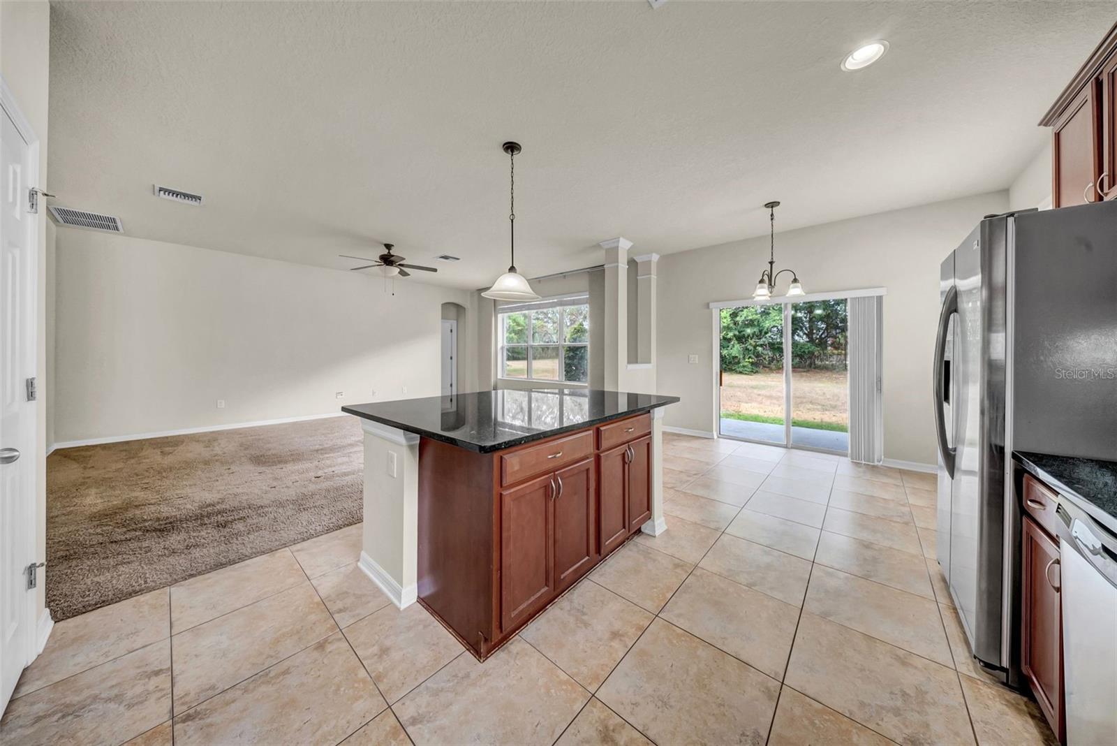 15810 STARLING WATER DR, LITHIA, FL, 33547