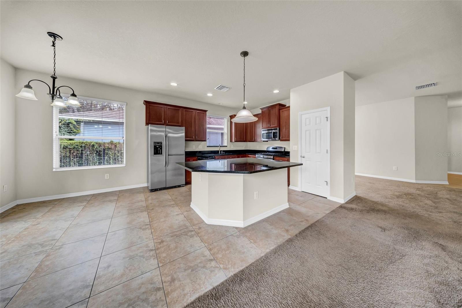 15810 STARLING WATER DR, LITHIA, FL, 33547