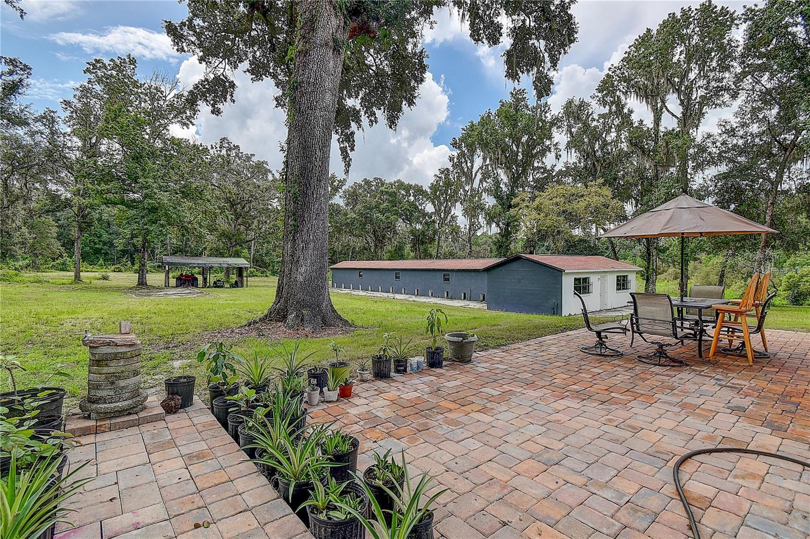 6234 NEFF LAKE RD, BROOKSVILLE, FL, 34601