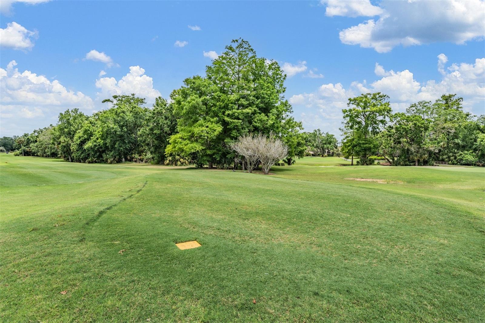 2769 ST ANDREWS BLVD, TARPON SPRINGS, FL, 34688