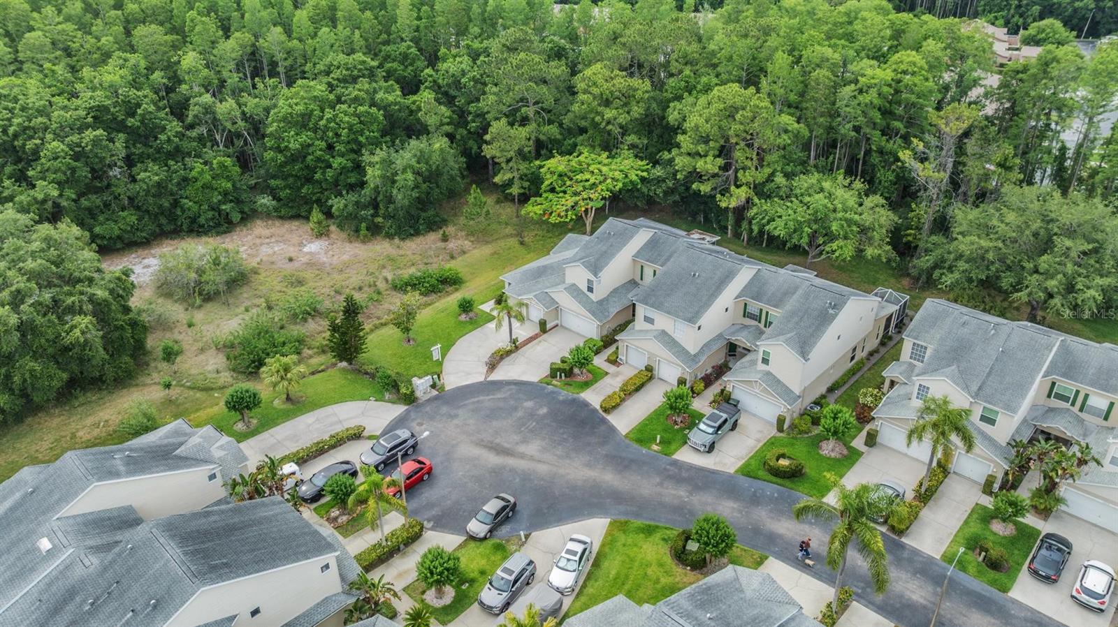 3205 AUDUBON CT, TARPON SPRINGS, FL, 34688