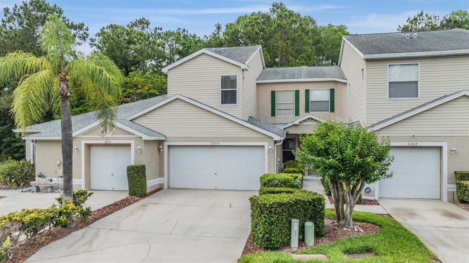 3205 AUDUBON CT, TARPON SPRINGS, FL, 34688