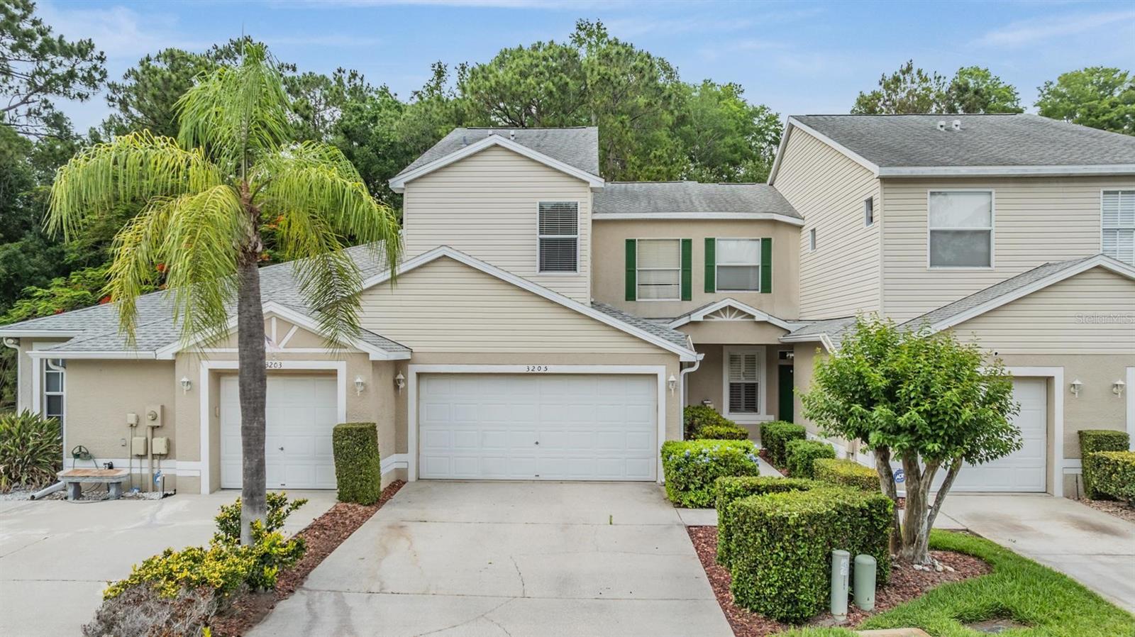 3205 AUDUBON CT, TARPON SPRINGS, FL, 34688