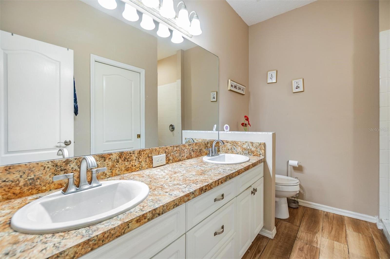 3205 AUDUBON CT, TARPON SPRINGS, FL, 34688