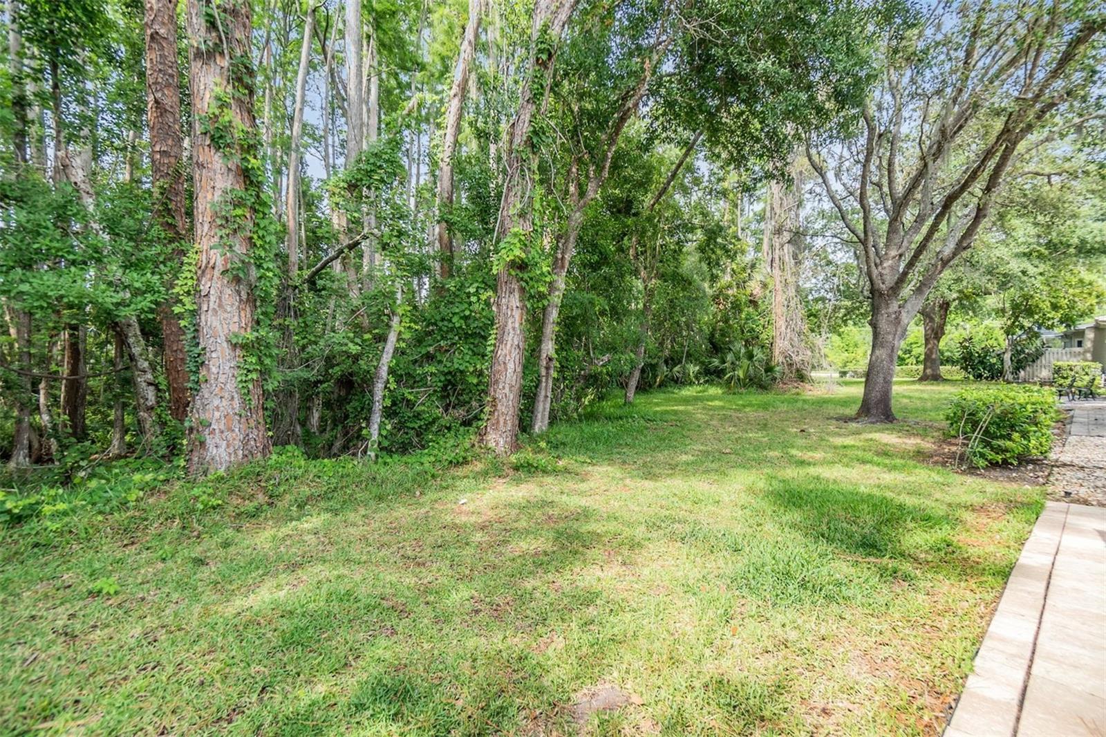 3205 AUDUBON CT, TARPON SPRINGS, FL, 34688