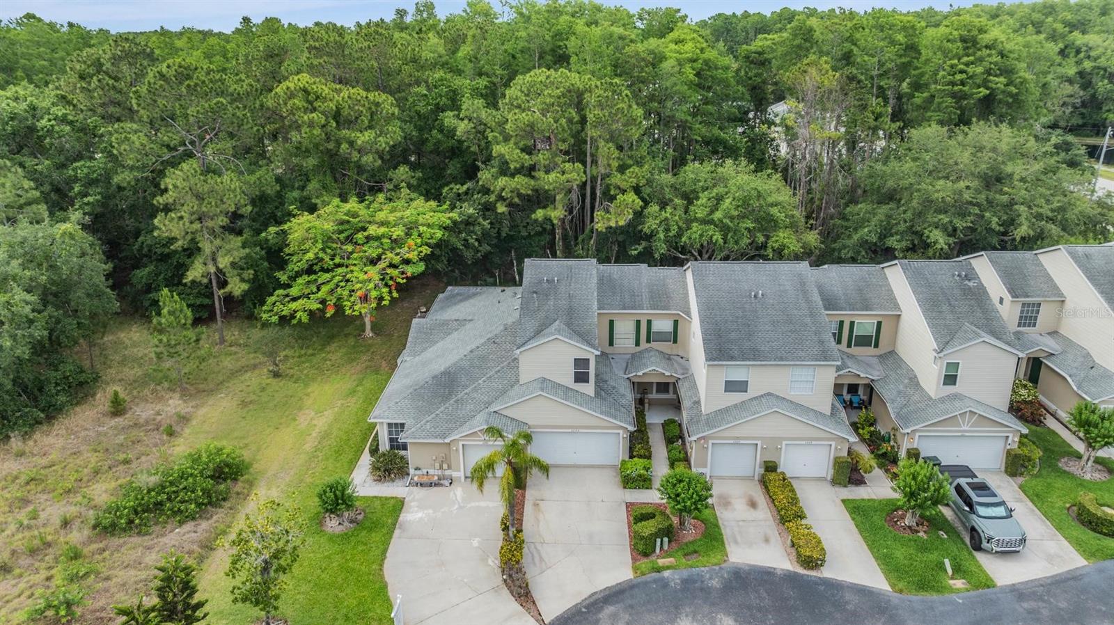 3205 AUDUBON CT, TARPON SPRINGS, FL, 34688