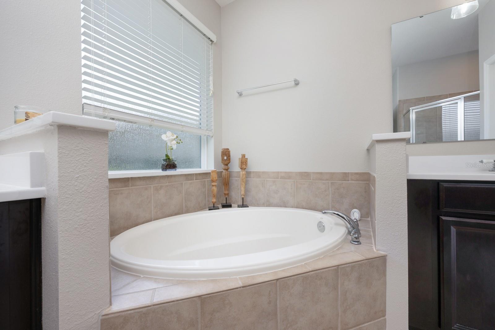 217 VICTORIA TRAILS BLVD, DELAND, FL, 32724