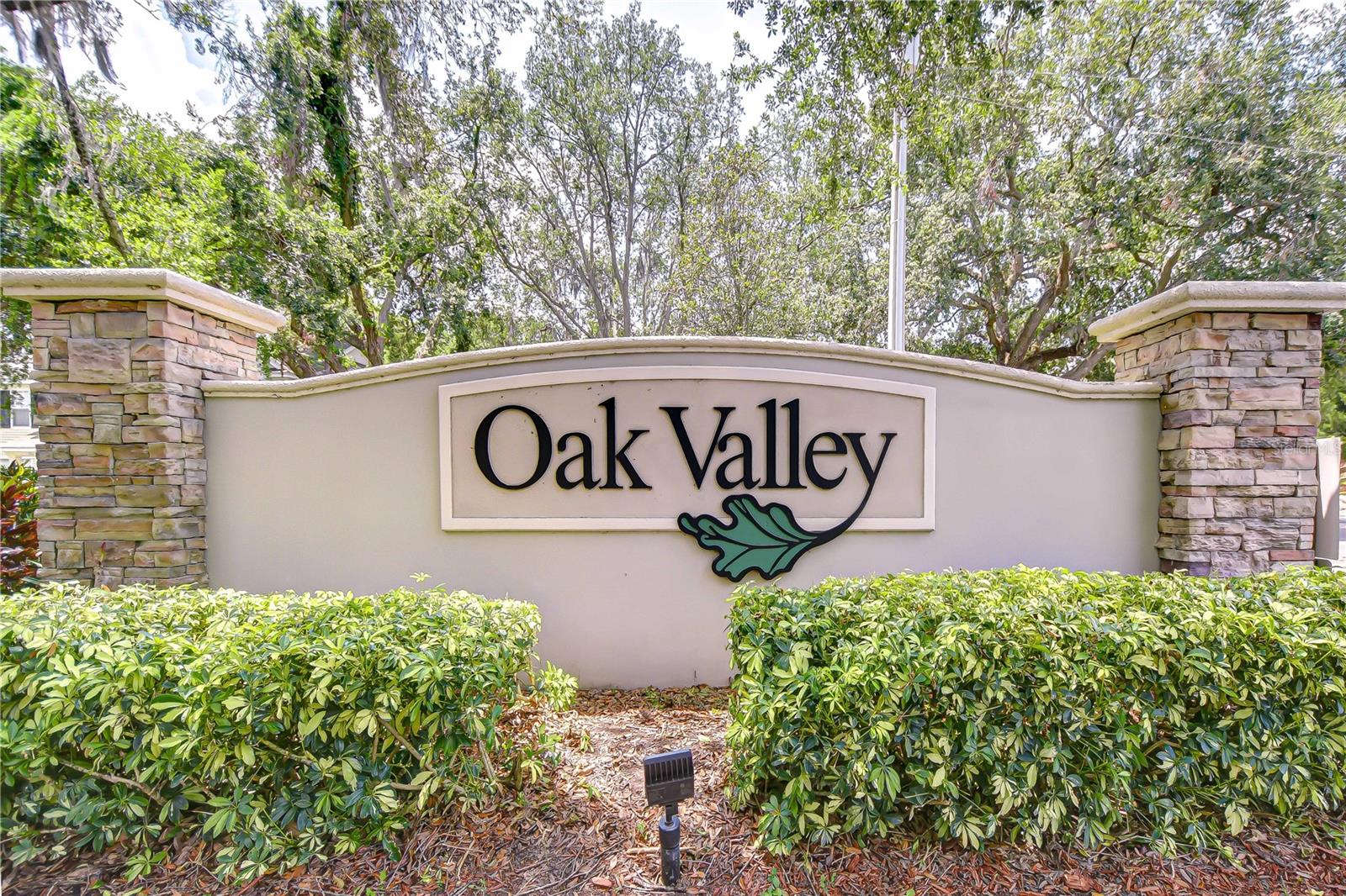 2227 GOLDEN OAK LN, VALRICO, FL, 33594