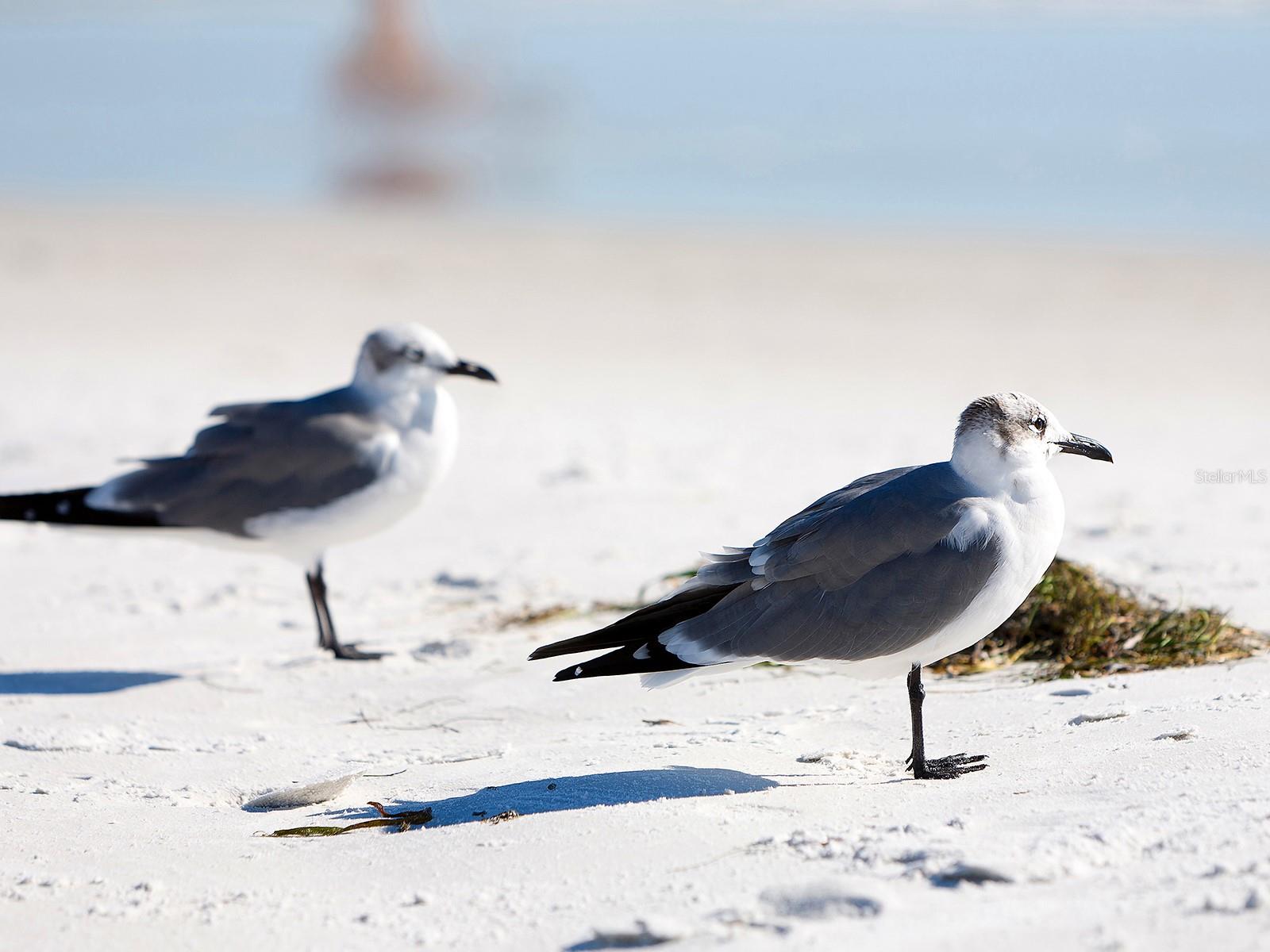 A4651663 Property Photo