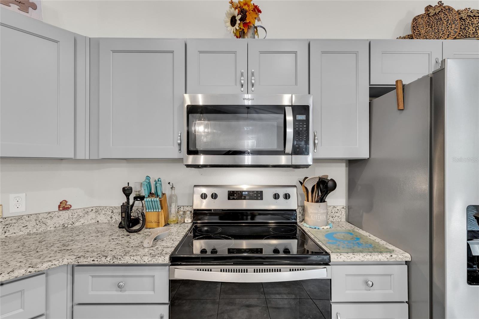 8635 SE 156 ST, SUMMERFIELD, FL, 34491