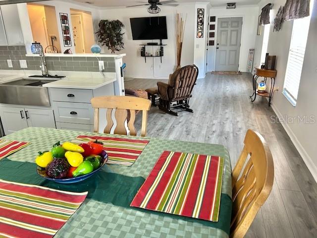 10607 BOYETTE CREEK BLVD, RIVERVIEW, FL, 33569