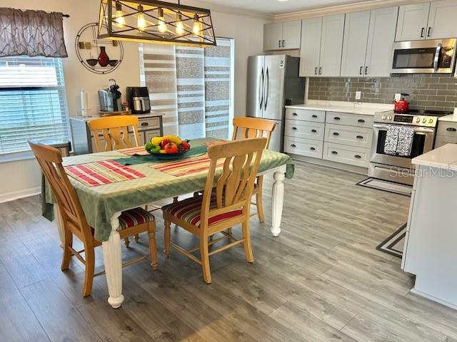 10607 BOYETTE CREEK BLVD, RIVERVIEW, FL, 33569