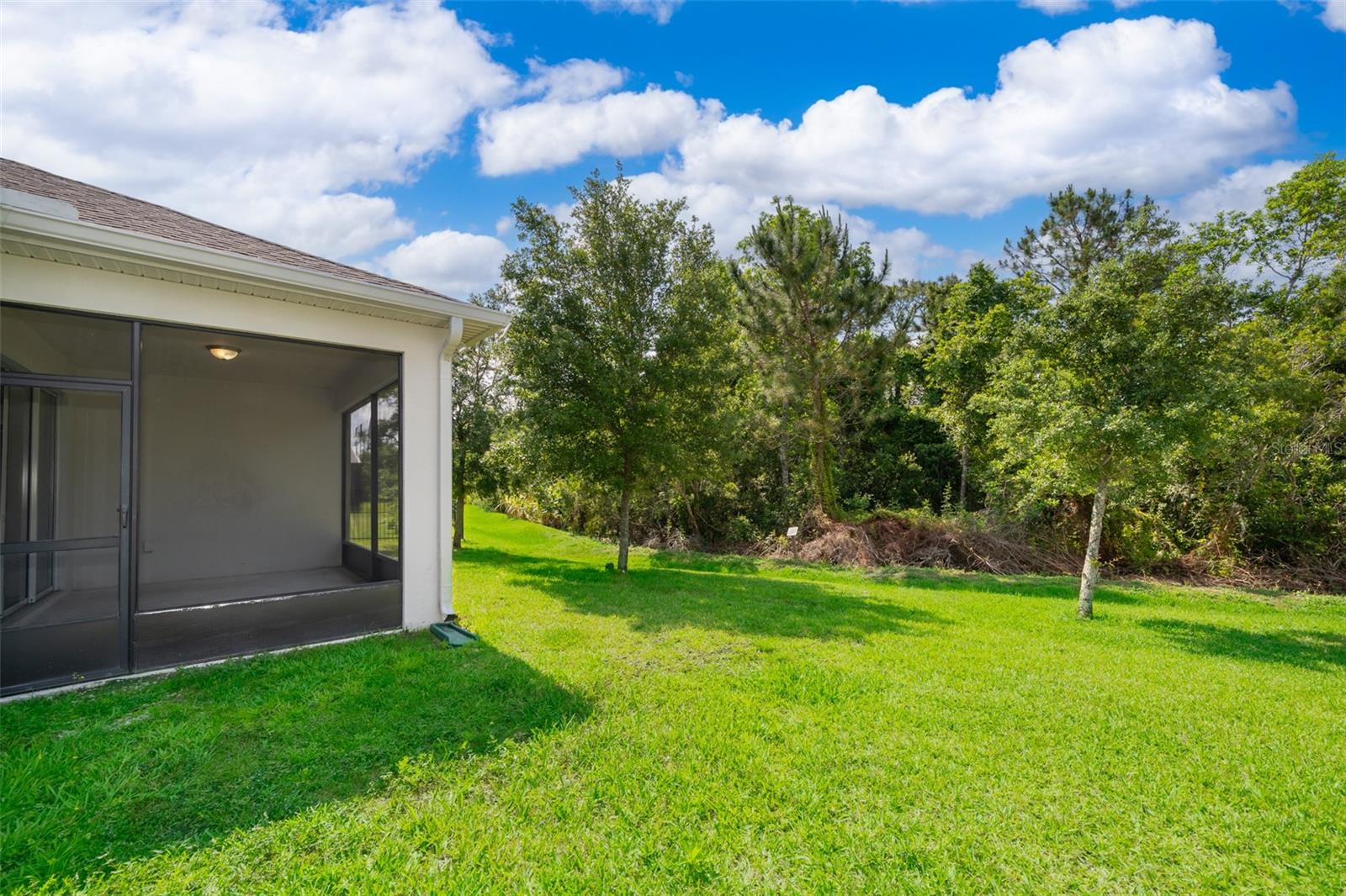 11054 CYRILLA WOODS DR, ORLANDO, FL, 32832