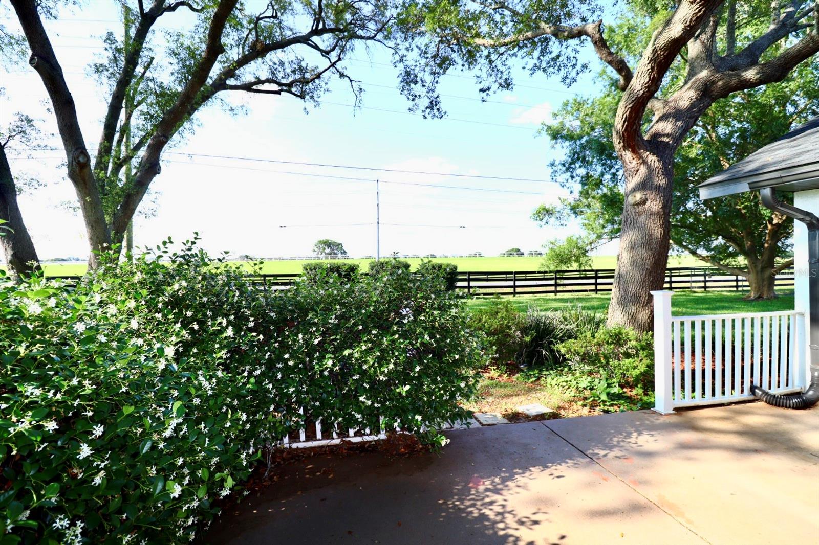 5351 SW 80TH PL, OCALA, FL, 34476