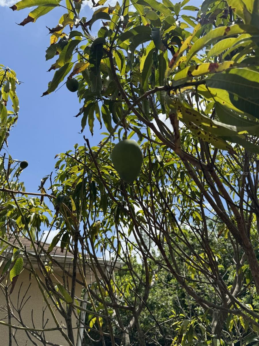 829 ANZA AVE, LEHIGH ACRES, FL, 33971