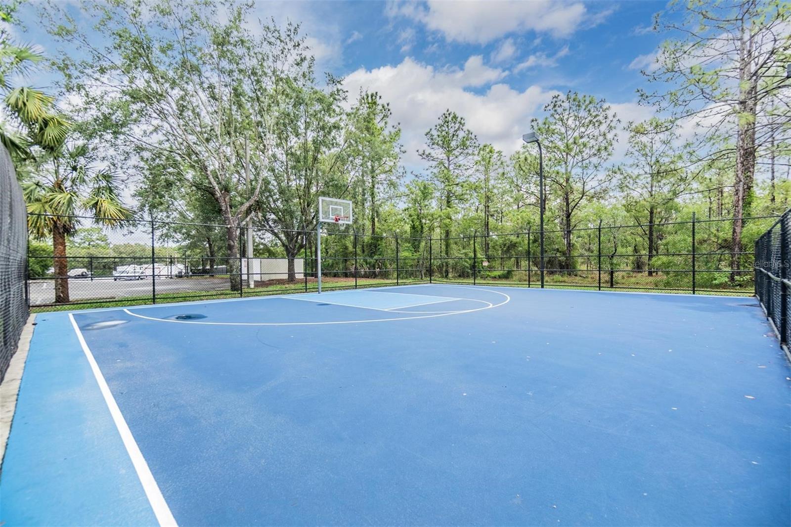 3876 CROSSLINE DR, SPRING HILL, FL, 34609