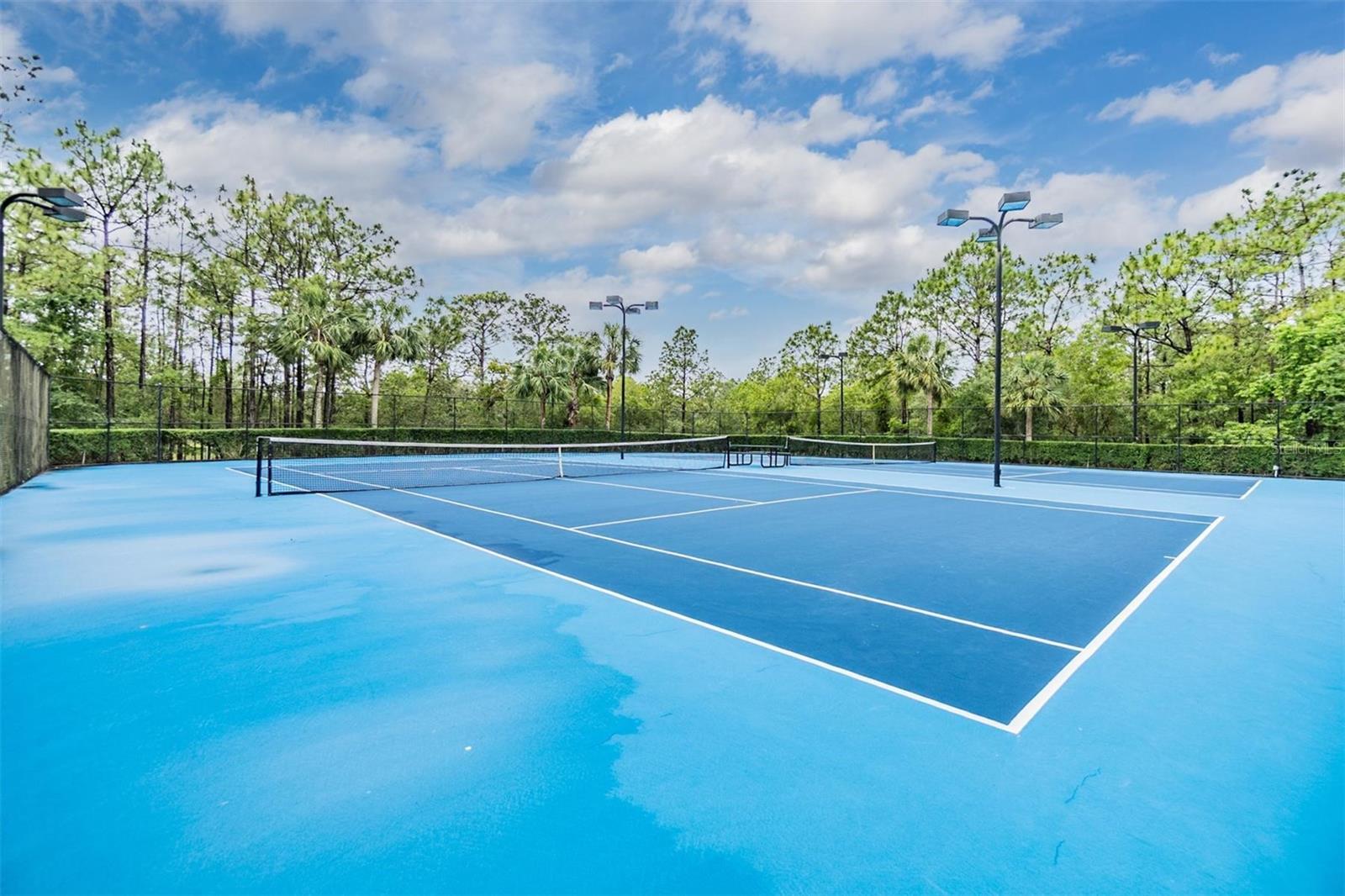 3876 CROSSLINE DR, SPRING HILL, FL, 34609