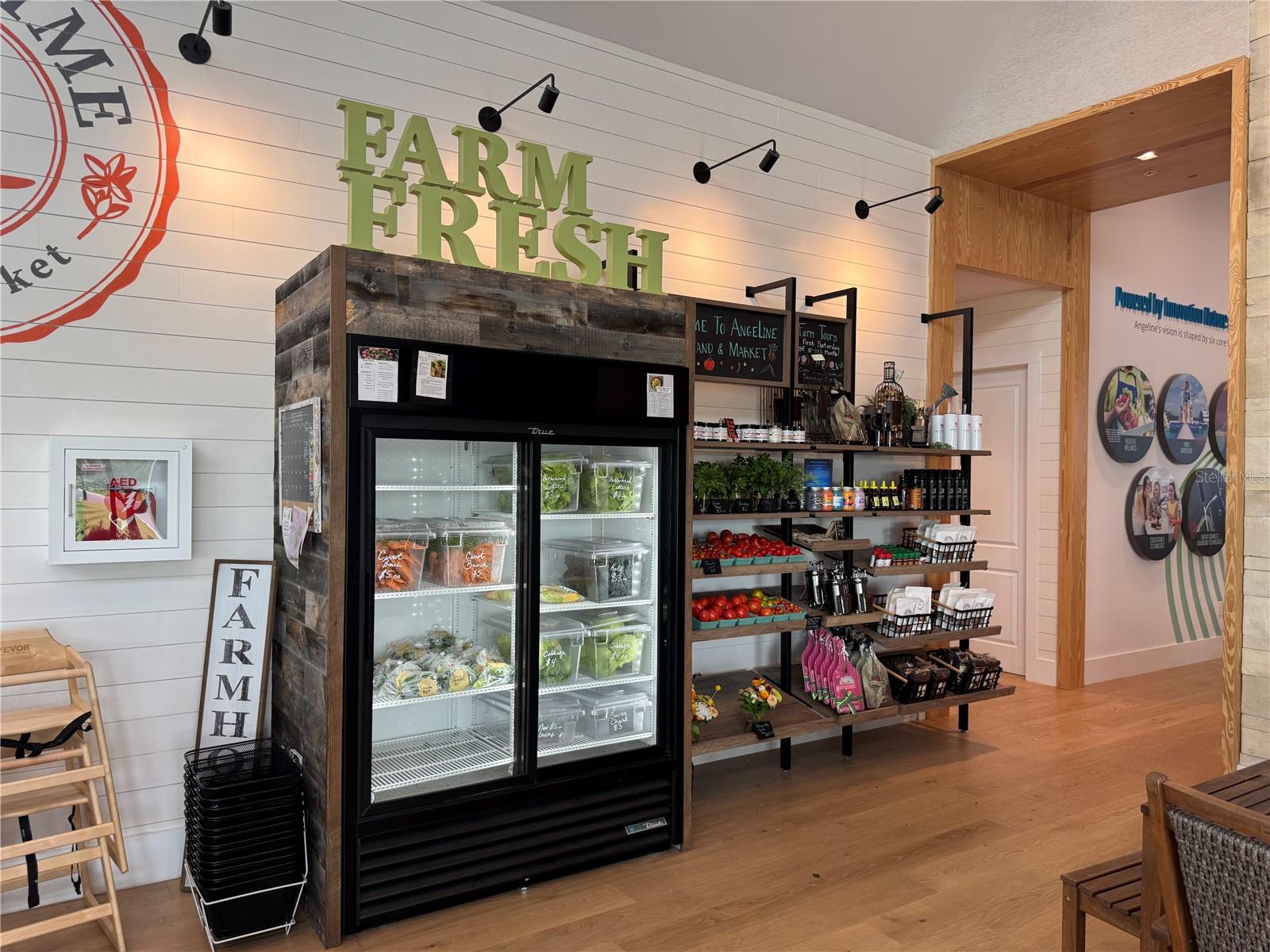 17677 NECTAR FLUME DR, LAND O LAKES, FL, 34637