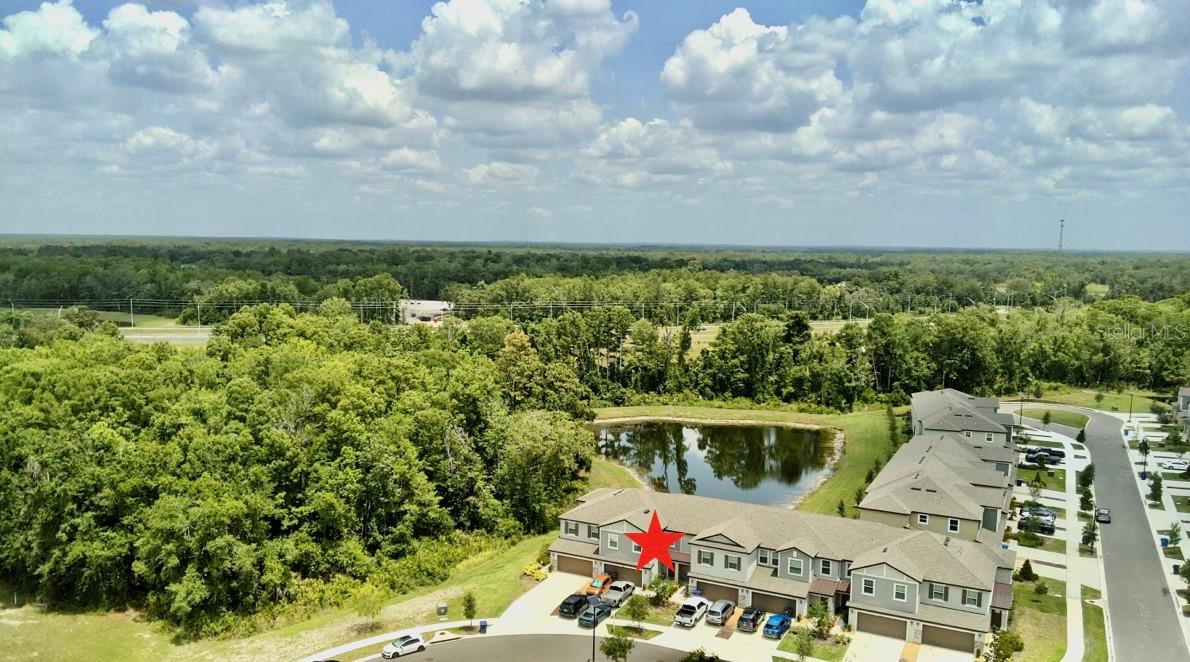 17677 NECTAR FLUME DR, LAND O LAKES, FL, 34637