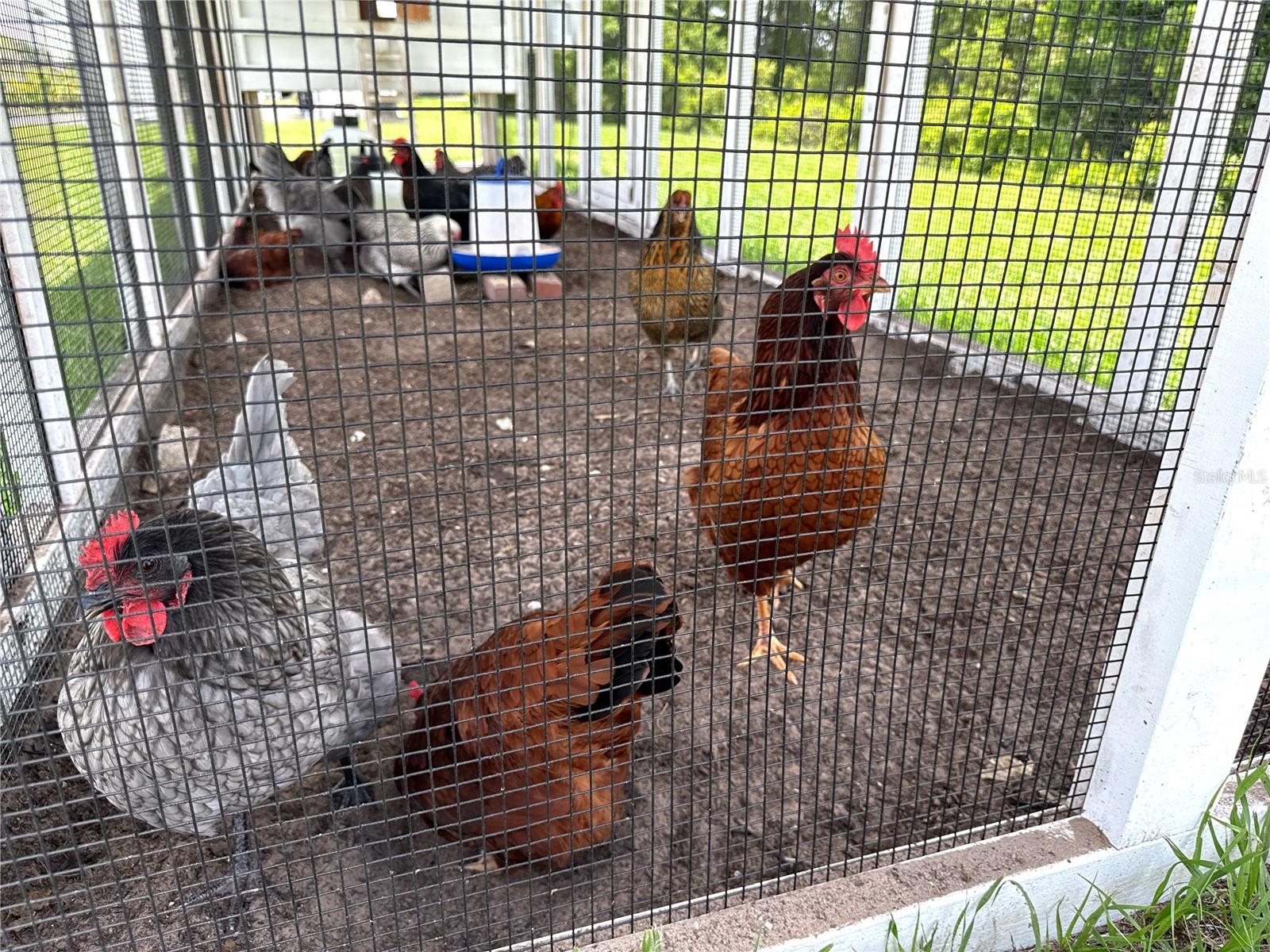 17677 NECTAR FLUME DR, LAND O LAKES, FL, 34637