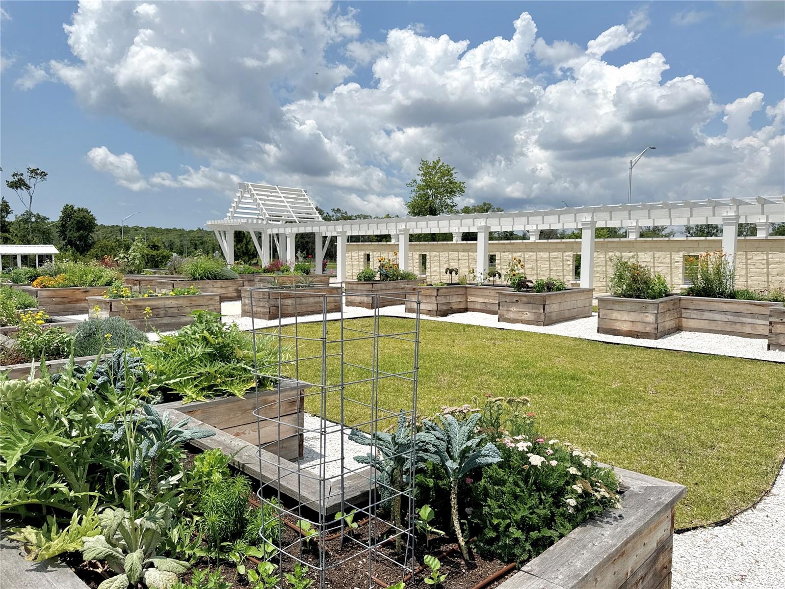 17677 NECTAR FLUME DR, LAND O LAKES, FL, 34637