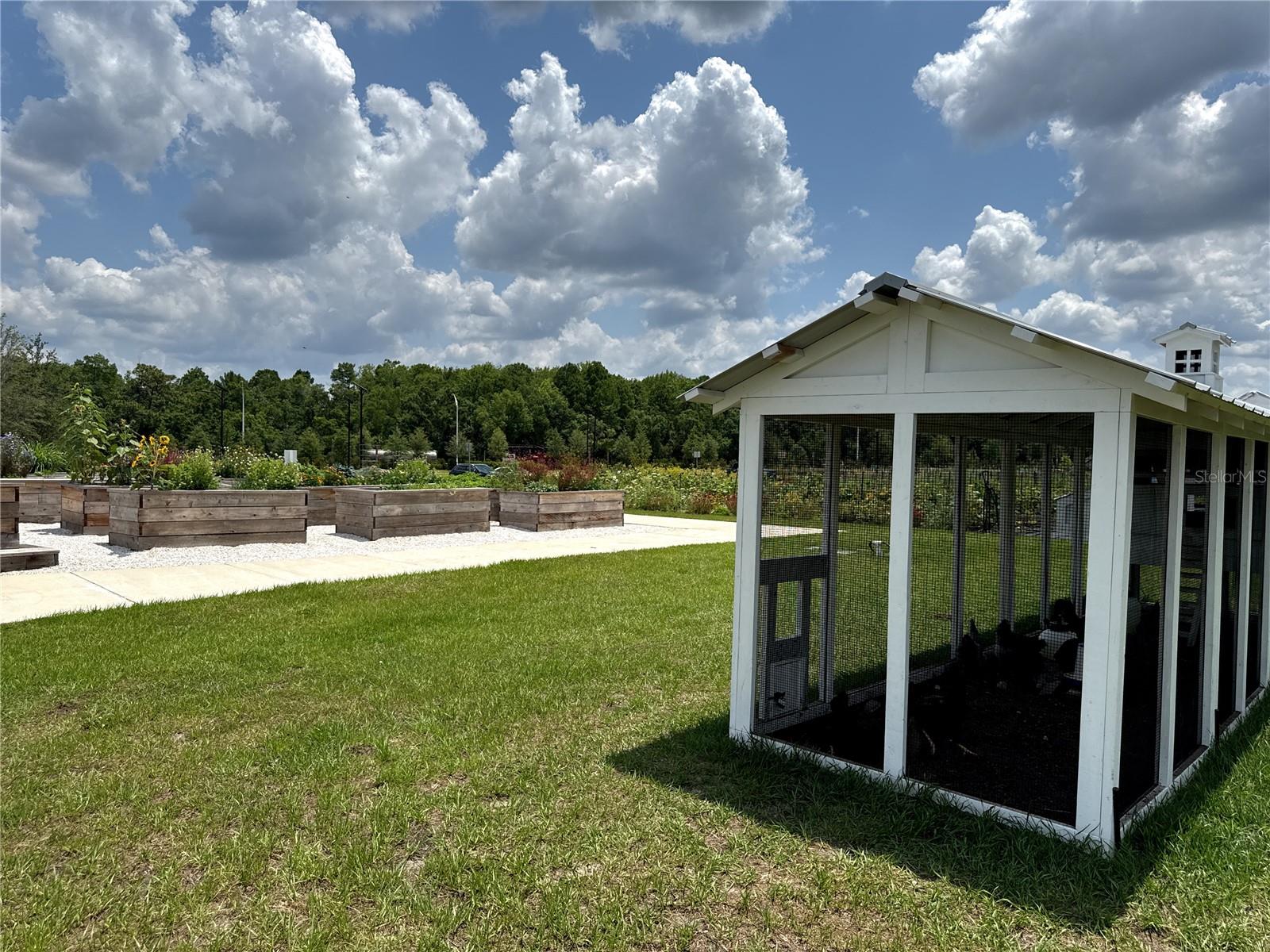 17677 NECTAR FLUME DR, LAND O LAKES, FL, 34637