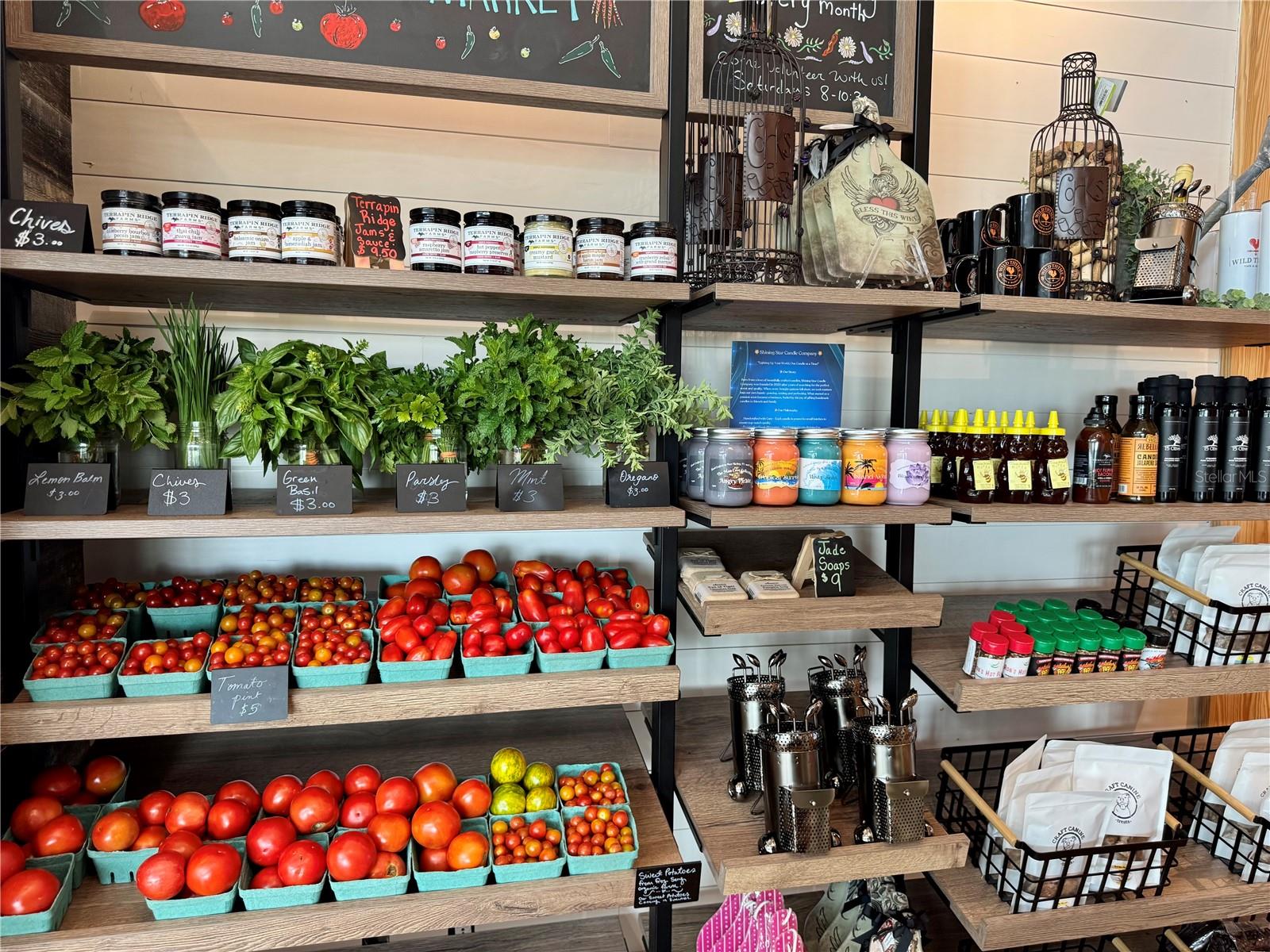 17677 NECTAR FLUME DR, LAND O LAKES, FL, 34637