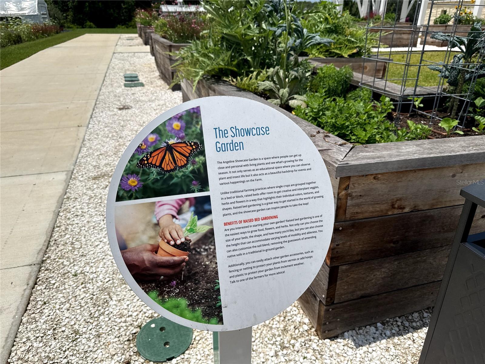 17677 NECTAR FLUME DR, LAND O LAKES, FL, 34637